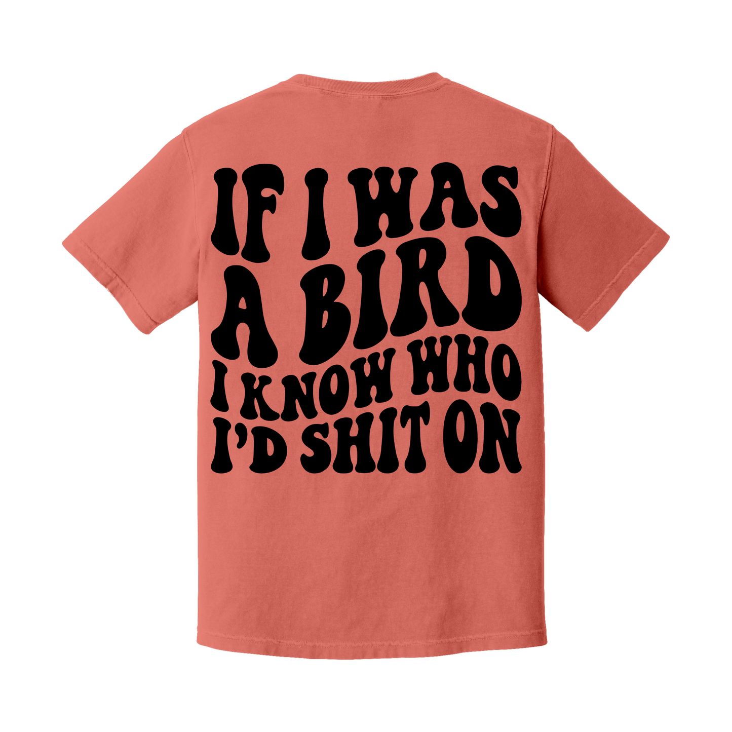 If I was a bird Tee